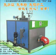 <b>燃气蒸汽发生器（免检）</b>